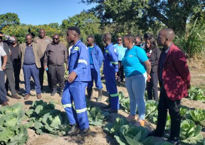 Vakopleiding voor voormalige straatkinderen in Chibombo, Zambia